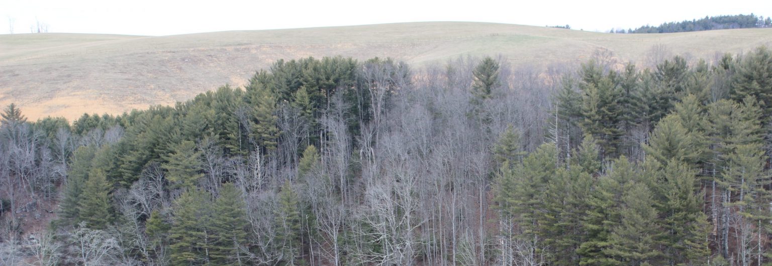 Alleghany County Ordinances Alleghany County, North Carolina